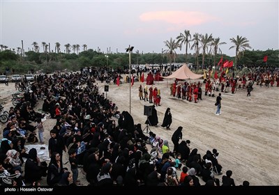 بزرگترین تعزیه میدانی استان بوشهر در روستای نظرآقا
