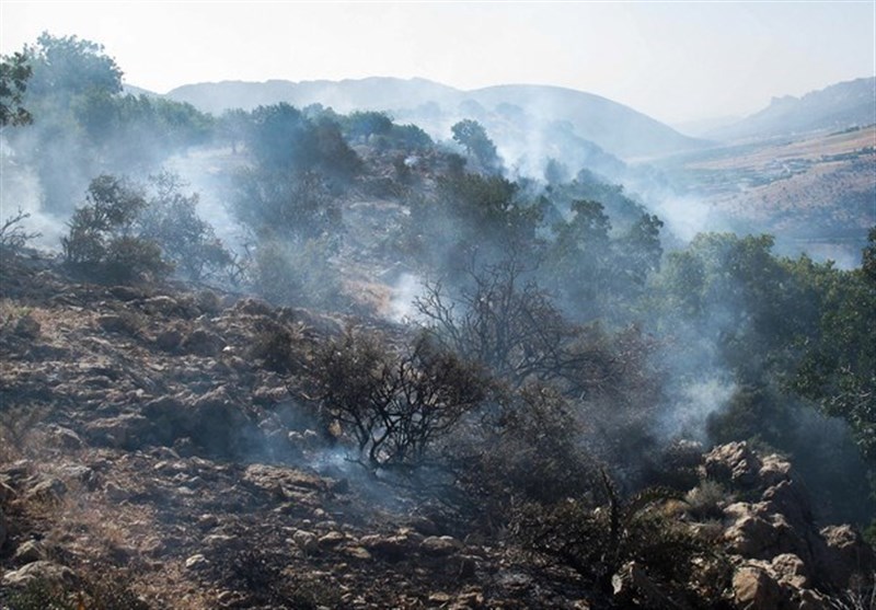 آتش سوزی جنگل‌های بلوط پلدختر پس از گذشت 6 ساعت مهار شد