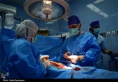 افزایش سرعت التیام زخم‌ها با استفاده از نانو بلورهای سلولز توسط محققان ایرانی