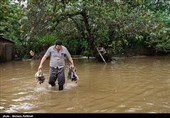 22 هزار قطعه طیور در سیل اخیر خوزستان تلف شد