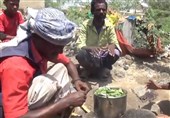 Riyadh&apos;s Ongoing Blockade Forces Yemenis to Survive Hunger by Eating Boiled Leaves (+Video)