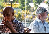 مهر تأیید نماینده سازمان ملل بر خدمات به سالمندان در ایران