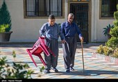 تهران| شورای سالمندان در اقصی نقاط کشور راه‌اندازی می‌شود