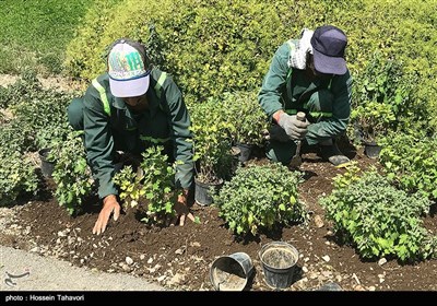 باغ گیاه شناسی ملی ایران 