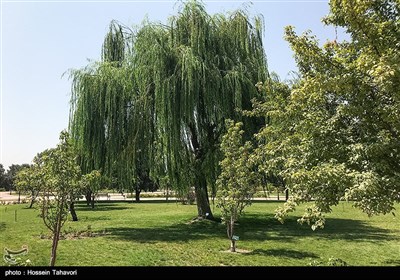 باغ گیاه شناسی ملی ایران 