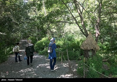 باغ گیاه شناسی ملی ایران 