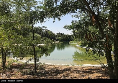 باغ گیاه شناسی ملی ایران 