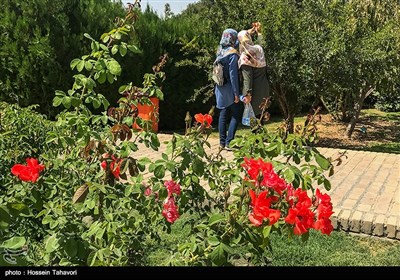 باغ گیاه شناسی ملی ایران
