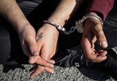 31 باند سرقت در استان بوشهر شناسایی و منهدم شد
