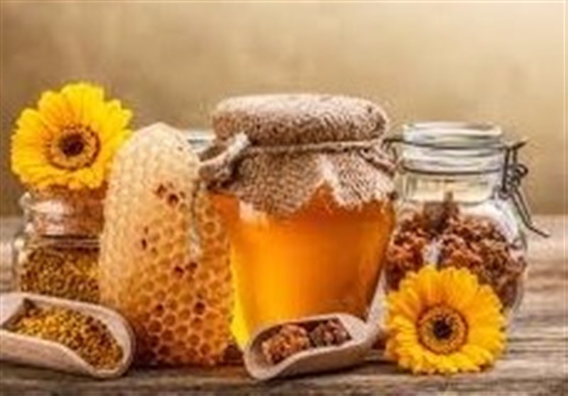 بیش از 1077 تن عسل امسال در استان زنجان تولید می‌شود