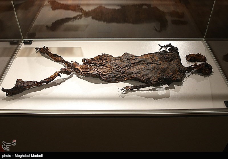 موزه‌های میراث فرهنگی 16 مهر رایگان است