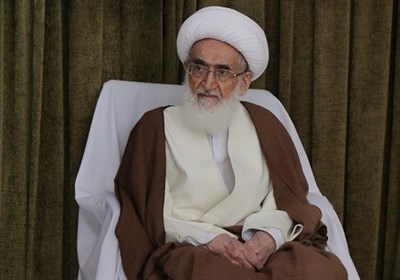 آیتالله نوریهمدانی: تا صهیونیستها در فلسطین هستند کشورهای خاورمیانه راحتی و آسایش نخواهند داشت