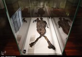 Naturally Mummified Exloermond Man on Display in Iran National Museum (+Photos)