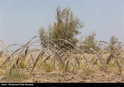 رودبار؛ بدون رود بدون آب