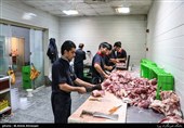 قم|6 هزار بسته گوشت قربانی میان نیازمندان 5 استان توزیع می‌شود