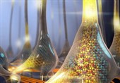 New Brain-Inspired Architecture Improves Data Handling, Advance AI