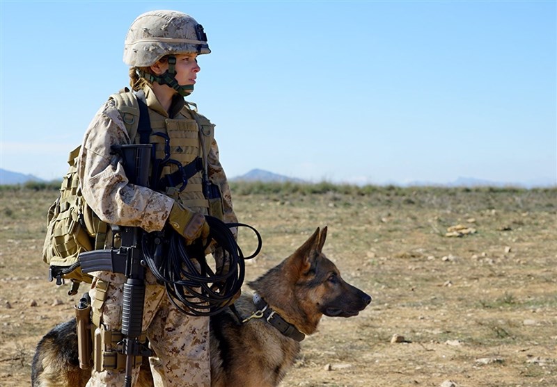 سینماگران آمریکایی چگونه از &quot;سگ&quot; قهرمان جنگی می‌سازند + عکس