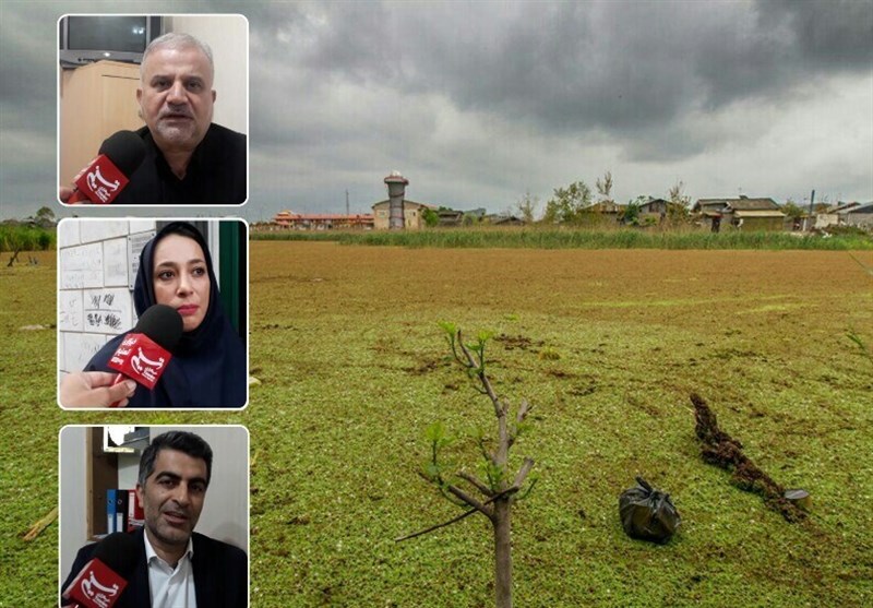 شهر تالابی جهان؛ تبلیغات پرطمطراق شورای شهر رشت+فیلم