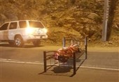 Chilling Moment Dead Body Tied to Bed on Saudi Road Caught on Camera (+Video)