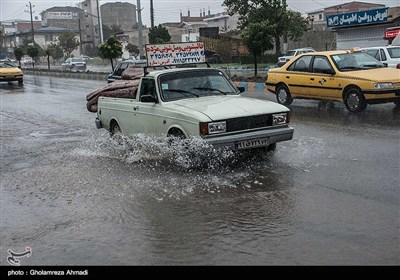 بارش باران در ساری 