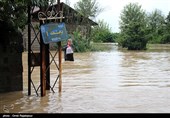 غرق شدن خودروهای شخصی در بارندگی شدید مازندران +عکس
