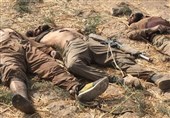 عراق| کشته شدن یک تروریست داعشی و زخمی شدن سه نفر دیگر در بیجی