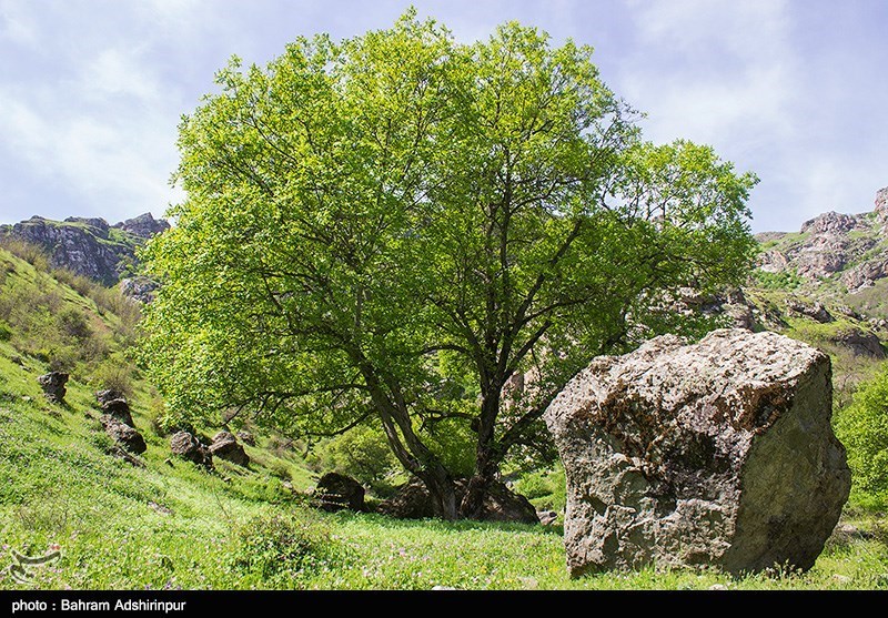 پایگاه خبر ججین