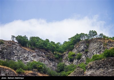 طبیعت مِشه سویی در دامنه کوه اسپیناس-آستارا