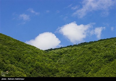 طبیعت مِشه سویی در دامنه کوه اسپیناس-آستارا