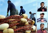 آفت بیتوجهی مسئولان دامن صیادان گیلانی را گرفت+فیلم