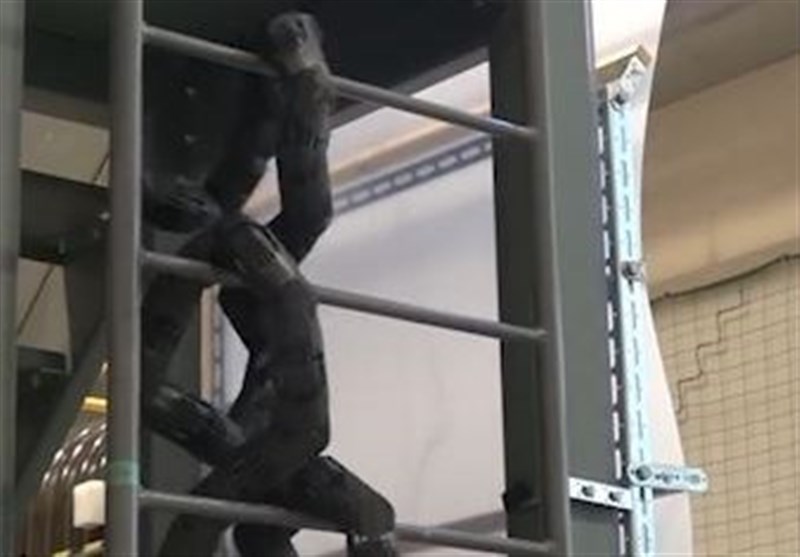Ladder-Climbing Snake Robot Built by Scientists (+Video)