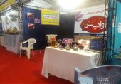 نمایشگاه اشتغال و توسعه کارآفرینی در بیرجند افتتاح شد