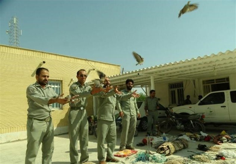 کومه‌های صید پرندگان شکاری در استان بوشهر تخریب شد+تصاویر