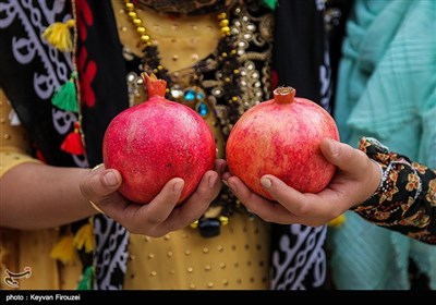 اولین جشنواره انار هورامان - کردستان 