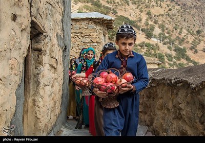 اولین جشنواره انار هورامان - کردستان 