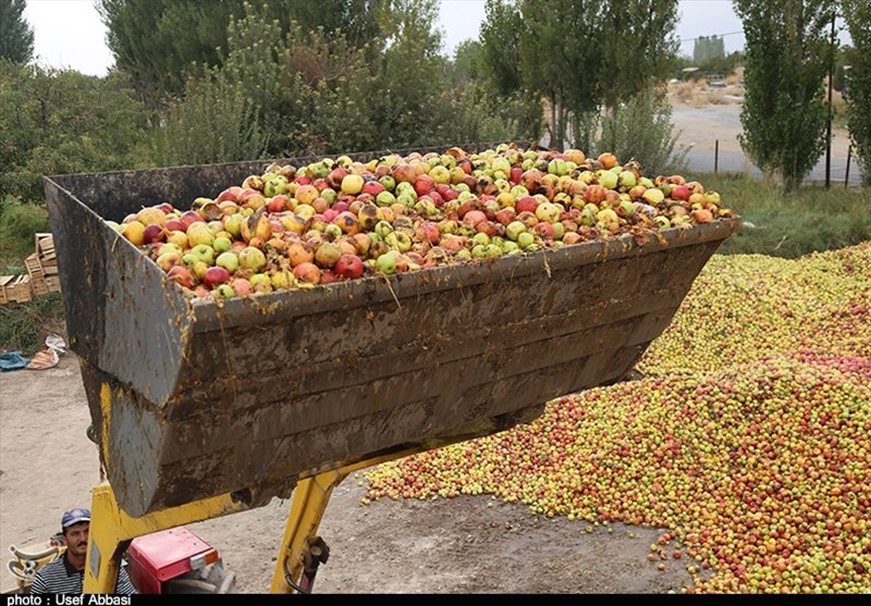 مشکل انباشت سیب صنعتی در جاده‌های آذربایجان غربی حل‌شدنی نیست؟