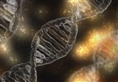 New Genetic Barcoding Technology Helps Scientists Identify Critical Cancer Immunity Genes