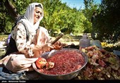 Pomegranate Festival Held in Iranian Northern Village