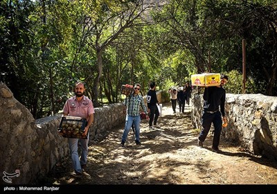  جشنواره انار در روستای انبوه رودبار