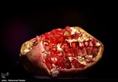 Pomegranate Festival Held in Iranian Northern Village