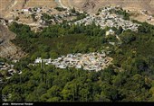 Pomegranate Festival Held in Iranian Northern Village
