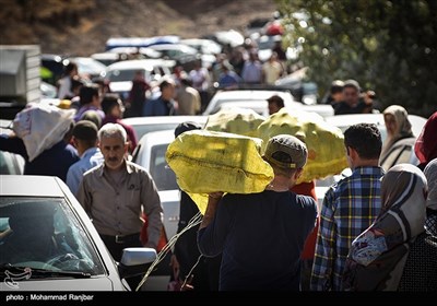  جشنواره انار در روستای انبوه رودبار