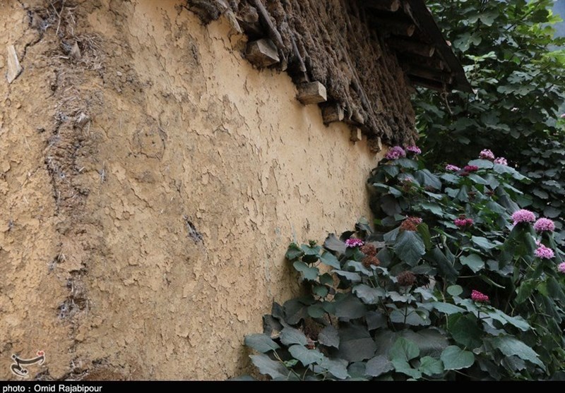 «سیاهگل چال» روستایی در دل طبیعت بکر گیلان به روایت تصویر