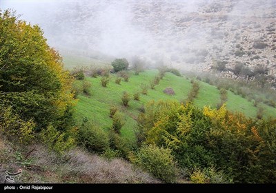 طبیعت پاییزی -گیلان