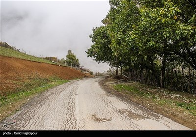 طبیعت پاییزی -گیلان