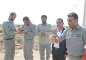 7 پرنده دلیجه و قمری در طبیعت استان بوشهر رهاسازی شد