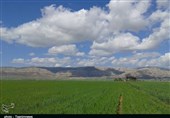 مجتمع کشاورزی با مشارکت بخش خصوصی در نوار مرزی گلستان راه‌اندازی می‌شود