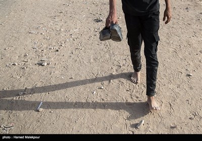 پیاده روی زائران اربعین حسینی از نجف به کربلا