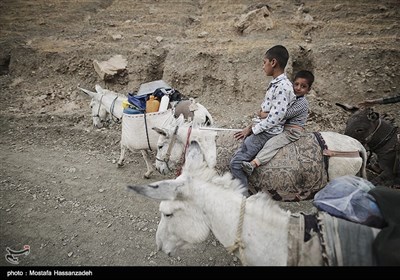 اهالی روستای گله بید هر روز مسافت زیادی را برای تهیه آب شرب مورد نیاز طی میکنند.کمبود آب یکی از مهمترین مشکلات روستاهای این منطقه می باشد.