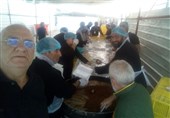 خدمت‌رسانی 280 آشپز ایرانی در آشپزخانه حرم امام علی(ع)